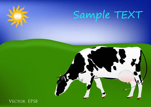 奶牛品种的母牛 — 图库矢量图片