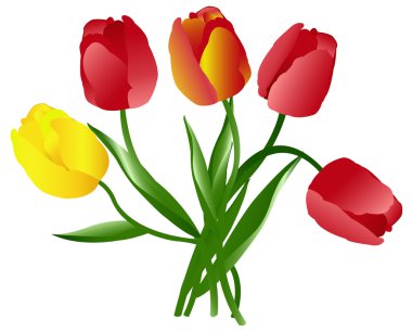 Celebratory bouquet of tulips clipart