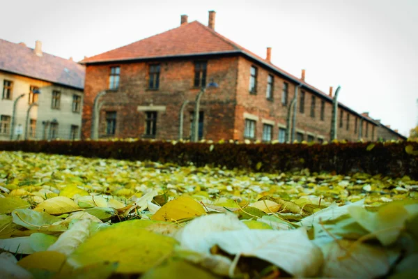 stock image Oswiecim