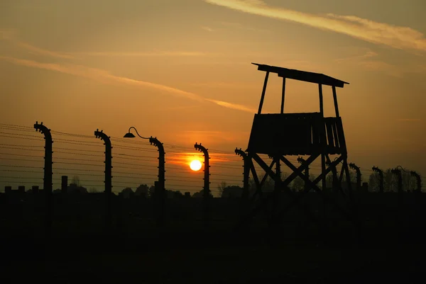 La clôture de Birkenau — Photo
