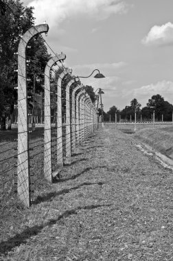 Auschwitz-birkenau toplama kampı.