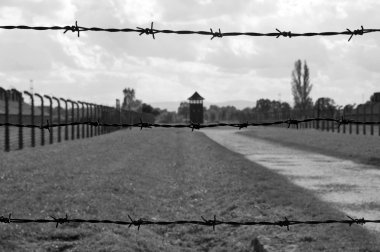 Auschwitz-birkenau toplama kampı.