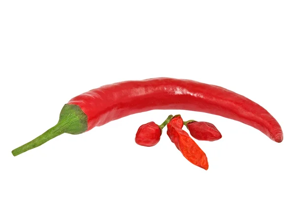 붉은 뜨거운 칠레 pepper.isolated. — 스톡 사진