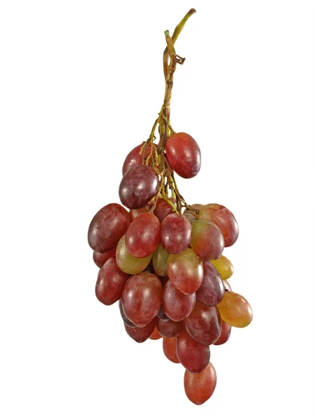 Kiść winogron. na białym tle. — Zdjęcie stockowe