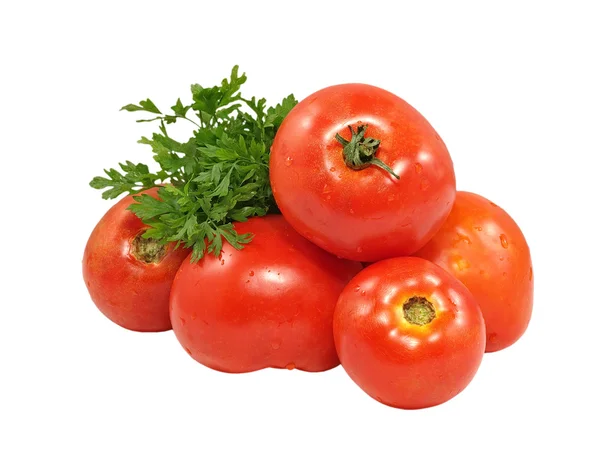 Färska röda tomater och persilja. — Stockfoto