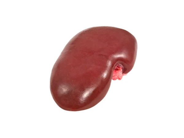 Pig kidney. — Stock Photo, Image