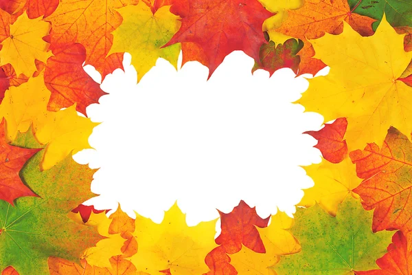 Autumn design. — Stock Photo, Image