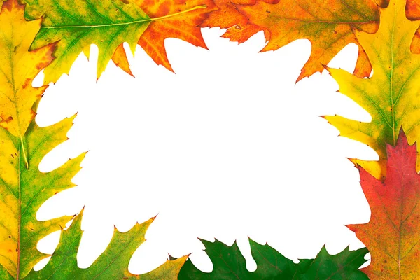 Autumn design — Stock Photo, Image
