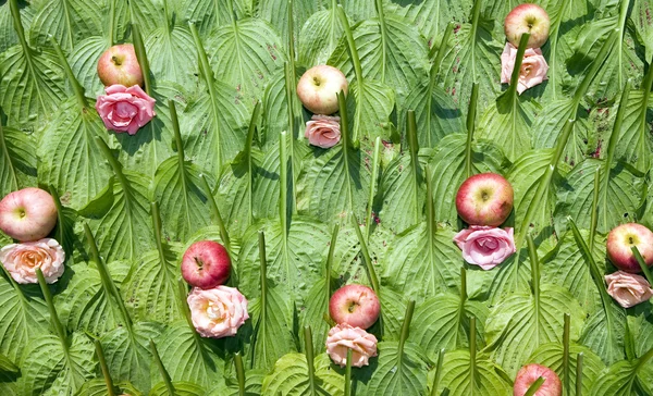 緑の植物から作られたテクスチャ — ストック写真