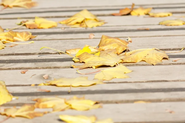Autumn leaves on a wooden bridge — Stock Photo, Image