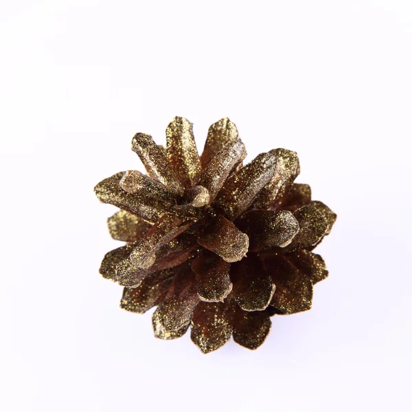 Cono di conifera dorata — Foto Stock