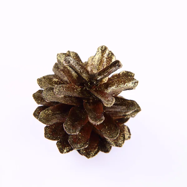 Золотий conifer конус — стокове фото