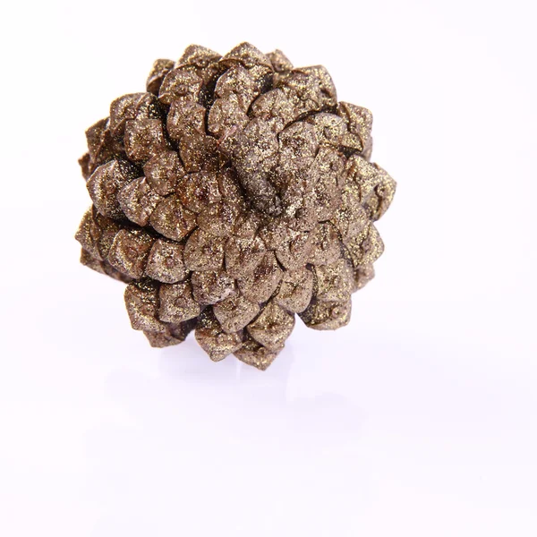 Cono di conifera dorata — Foto Stock