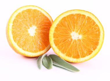 Orange clipart