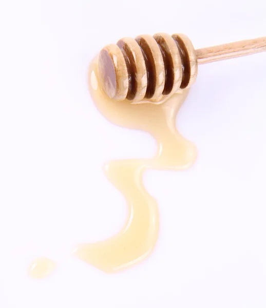 Miel en un palo — Foto de Stock