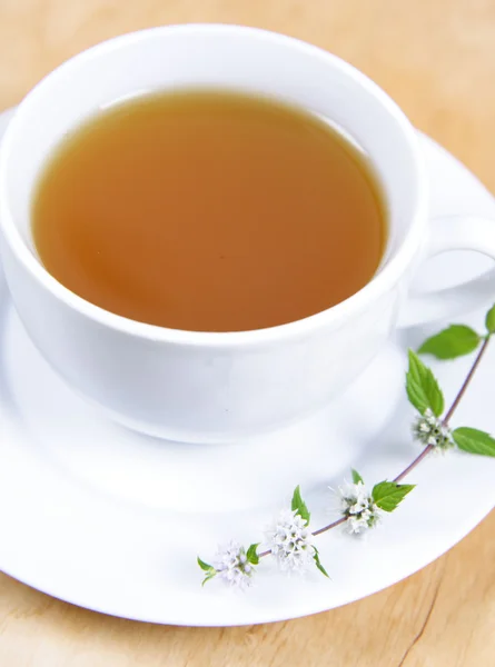 Grüner Tee mit Pfefferminze — Stockfoto