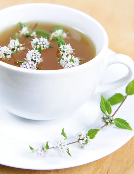 Green tea with peppermint — Stock Photo, Image