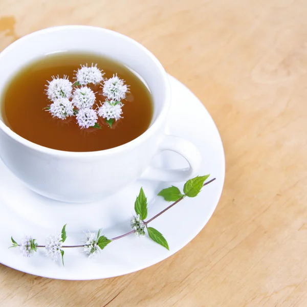 Grönt te med pepparmynta — Stockfoto