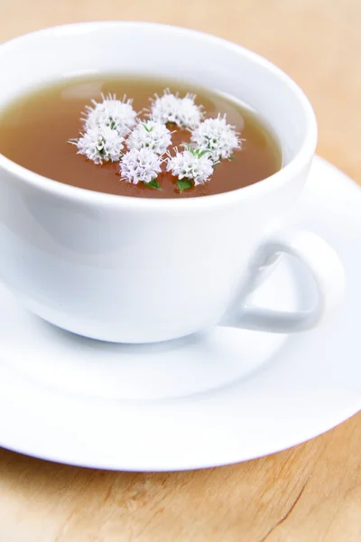 Tasse grünen Tee — Stockfoto