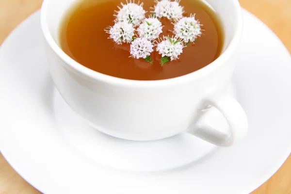 Чашка зеленого чая — стоковое фото