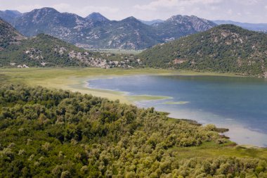 skadarsko Gölü bataklık