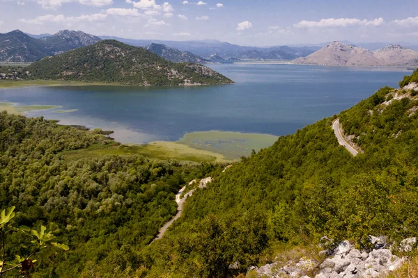 Λίμνη skadarsko. Βαλκάνια - Μαυροβούνιο — Φωτογραφία Αρχείου
