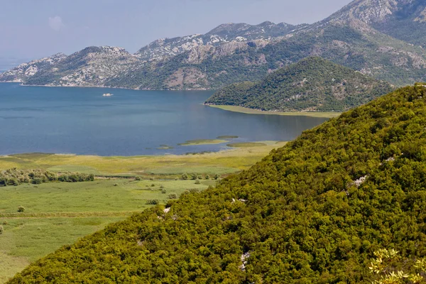 Lago Skadarsko. Montenegro . — Fotografia de Stock