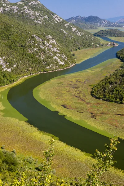 Річка, Чорногорія — стокове фото