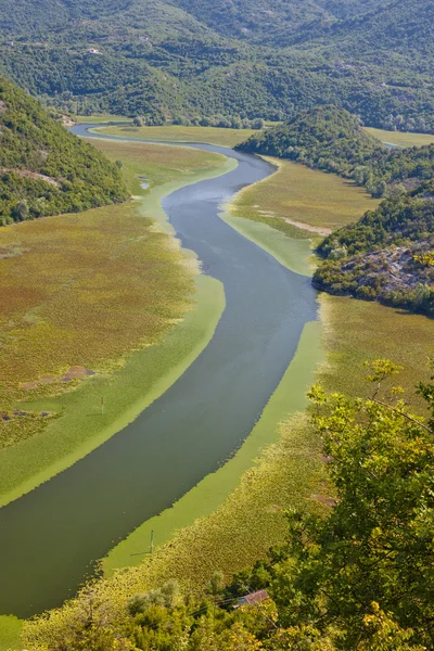Piękna rzeka w Czarnogórze — Zdjęcie stockowe