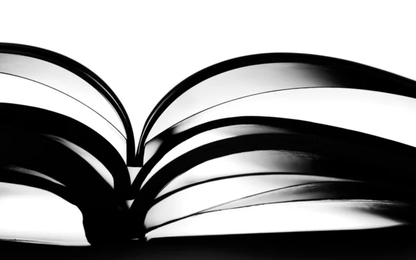 Silhouette des aufgeschlagenen Buches — Stockfoto