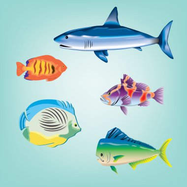 balıklar koleksiyon çeşitli çizgi film