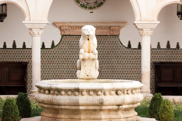 Fountain in Museum Condes de Castro Guimaraesh — Stock Photo, Image