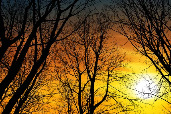 View of a beautiful sunset — Stock Photo, Image