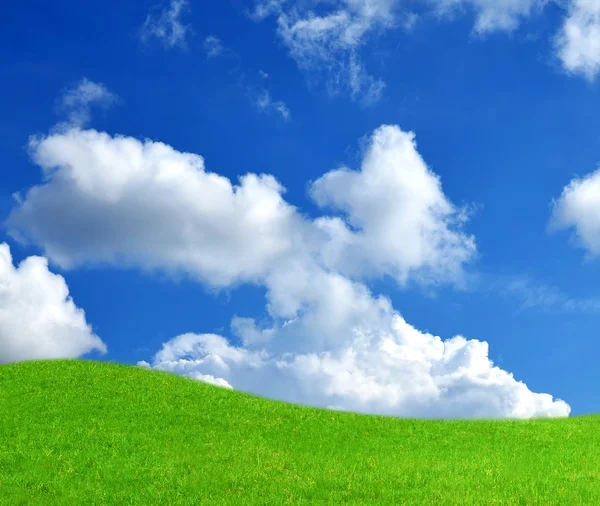 Yeşil çayır ve bulutlu gökyüzü mavi — Stok fotoğraf