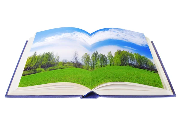 Открытая книга с зеленым лугом — стоковое фото