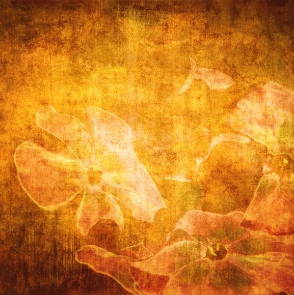 Grunge fondo floral — Foto de Stock