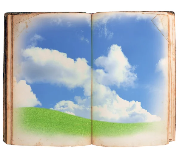 Открытая книга с зеленым лугом — стоковое фото