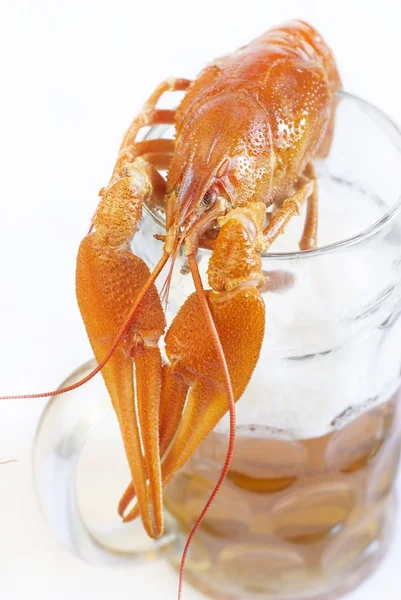 与啤酒煮螯虾 — 图库照片