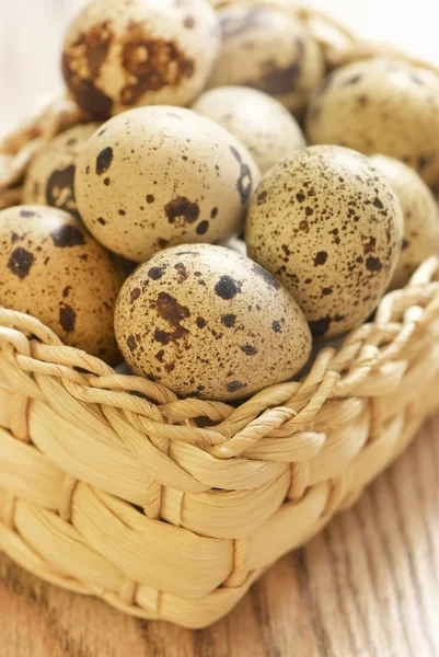 stock image Quail eggs in basket