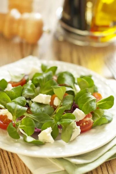 Tomatoes salad with cheese — Stock Photo, Image