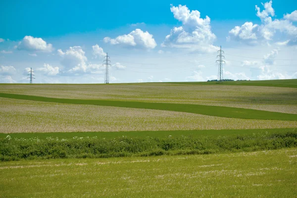 Sommar landskap med fältet och äng — Stockfoto