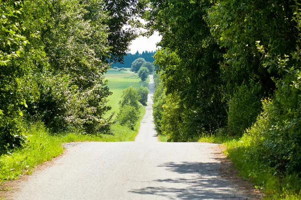 Cenário de verão de uma estrada de aldeia — Fotografia de Stock