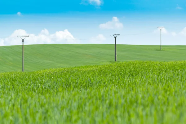 Hoogspanning elektrische leidingen in veld tegen een blauwe hemel — Stockfoto