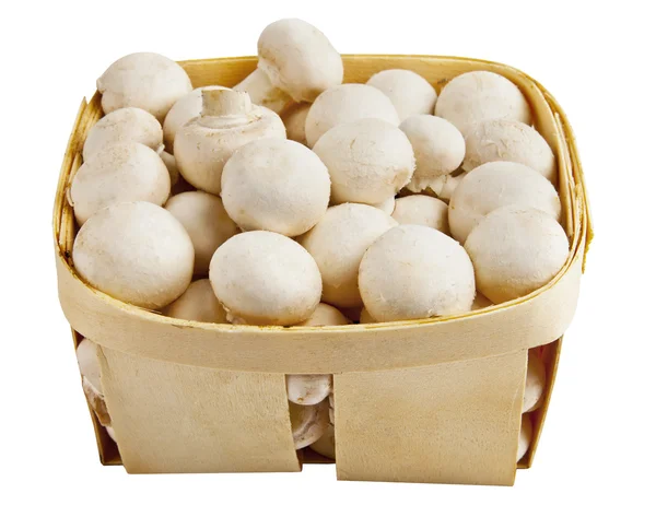 Champignon mushrooms in a wooden basket on white — Stock Photo, Image