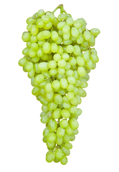 stock image Bunch of ripe grapes on a white background