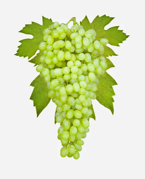 stock image Bunch of ripe grapes on a white background