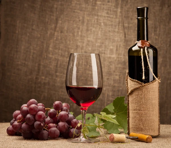 Natureza morta com garrafas de vinho, copos e uvas — Fotografia de Stock