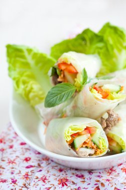 pirinç kağıdı springrolls