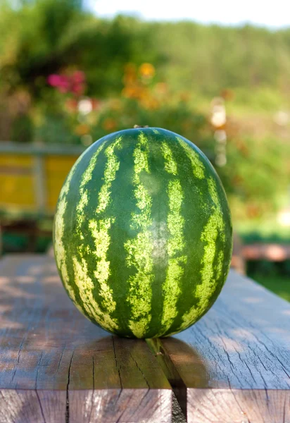 stock image Ripe watermelon