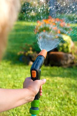 Watering the grass and flowers clipart